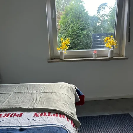 Grosse Mit Wlan Und Free Parking Apartment